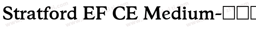 Stratford EF CE Medium字体转换